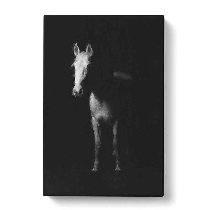 White Horse Vol.2 - Wrapped Canvas, 76cm H x 50cm W x 3cm D