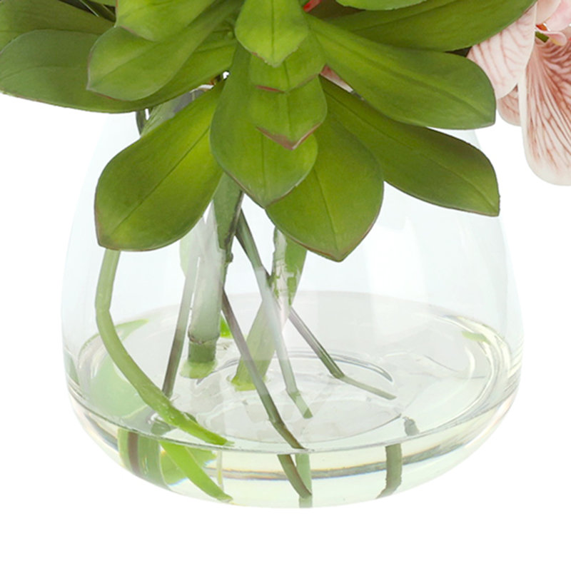 Orchid and Succulent Arrangement