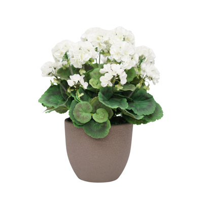 18" Geranium Bush in Boiled Brown Ceramic