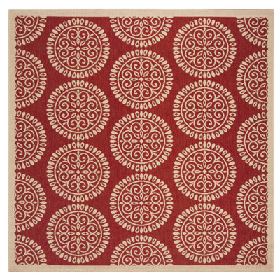Tapis intérieur / extérieur Burnell Performance