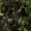 Boule de vigne ange artificiel vert-966220336