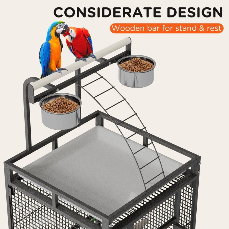 Bird Cage, Black