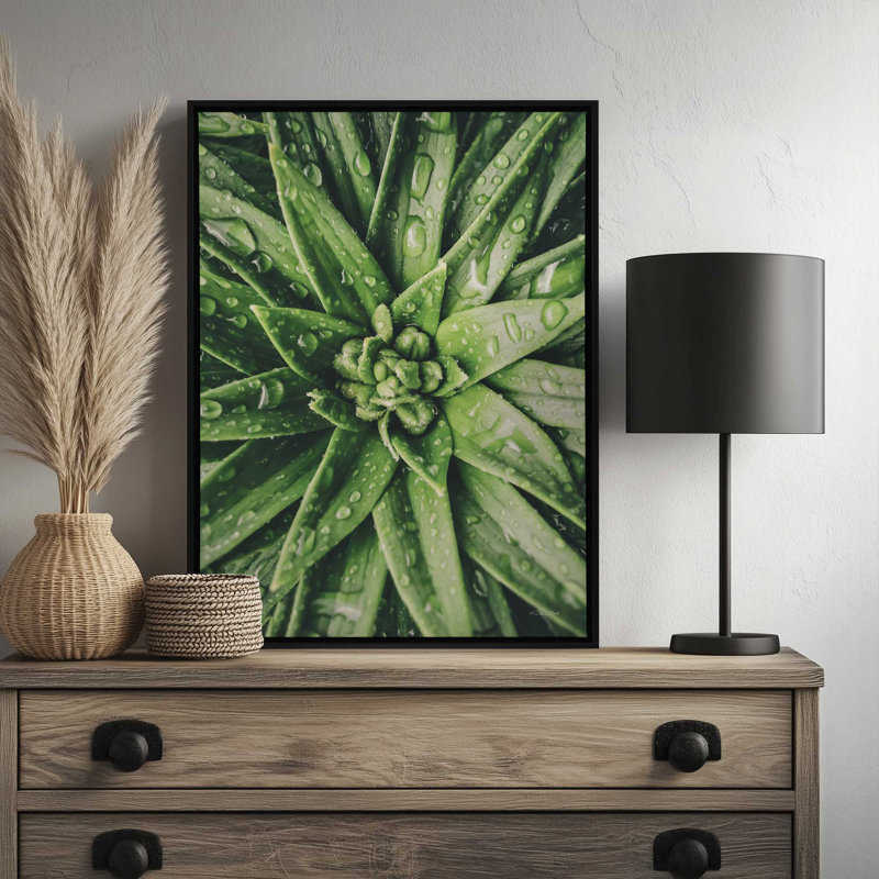 «Dew Drop Succulent» par Susan Ball, reproduction d'art, 24 W x 32 H, Tanné, Toile avec cadre