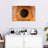 Alcaraz Brown Iris-107855764