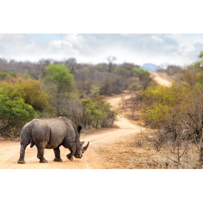 " Rhino On The Road "