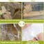 Thick Plastic Couch Cover Waterproof Dust Proof Clear Sofa Cover Protectors for Storage and Moving