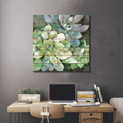 Plantes grasses estivales