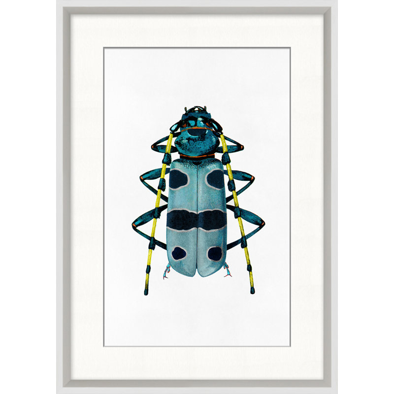 Rainbow Insect 2 Wall Art & Signage by Lillian August
