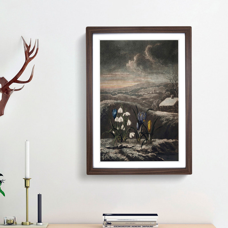 The Snowdrop Flowers by R.J. Thornton - Picture Frame Painting Print, 65cm H x 48cm W x 2cm D, Walnut Framed
