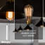 Ampoule incandescente à intensité variable 60 W ST18 blanc chaud E26 / culot moyen (standard)