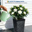 Planter Box