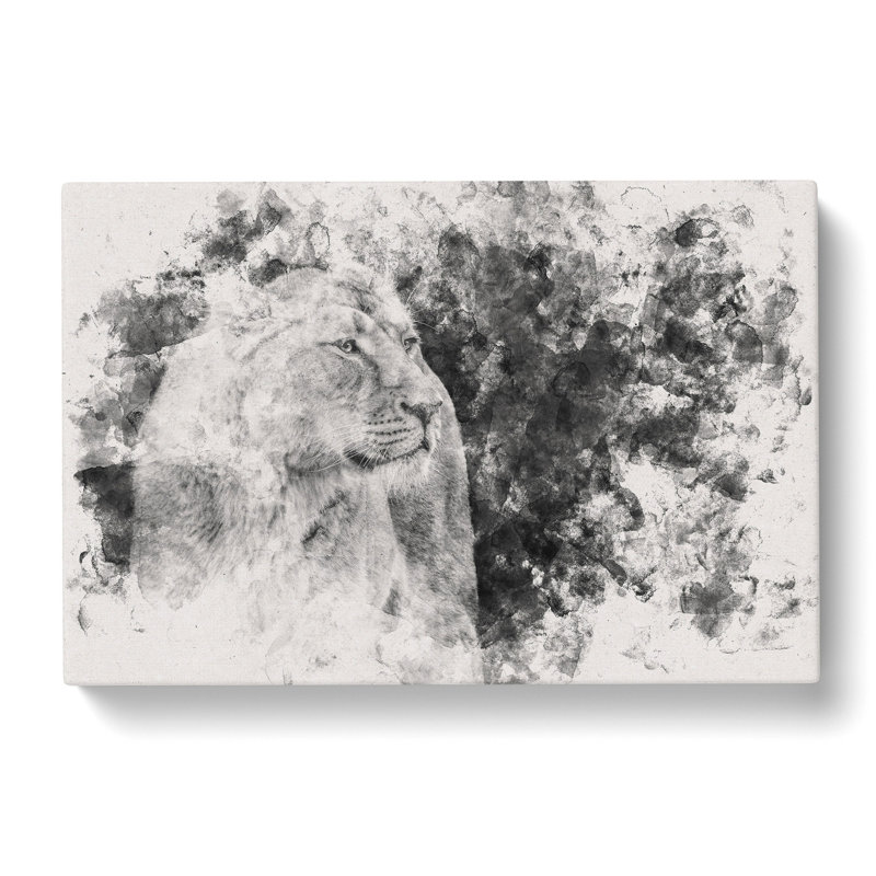 Wild Lioness - Wrapped Canvas Print, 50cm H x 76cm W x 3cm D