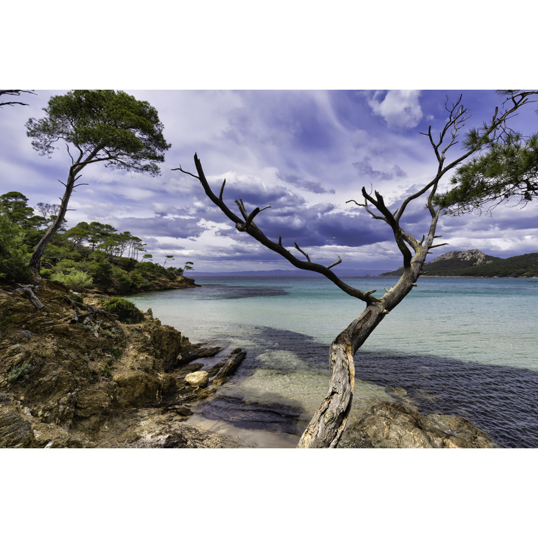 Die Insel Porquerolles