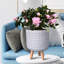 Geometric Patterned Cylinder Planter with Feet-350652355-350652354