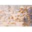 Tapis gris Legacy 6 pi 6 po x 9 pi 8 po