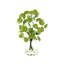 Organic Modern Snowball Viburnum Floral Arrangement