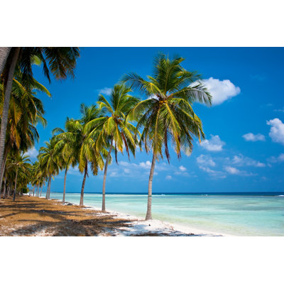 Palm Trees - Wrapped Canvas Print