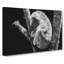 Koala Bear Resting in a Tree - Wrapped Canvas Art - Wrapped Canvas-55365066