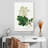 Keiri Oakleaf Hydrangea-108424251