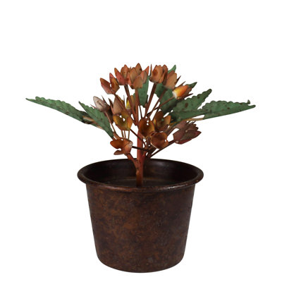 Fleur en pot, hortensia, aluminium
