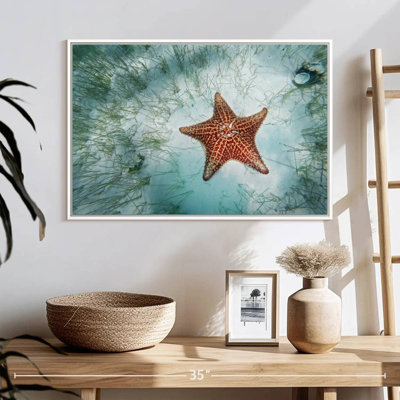 Étoile de mer peu profonde