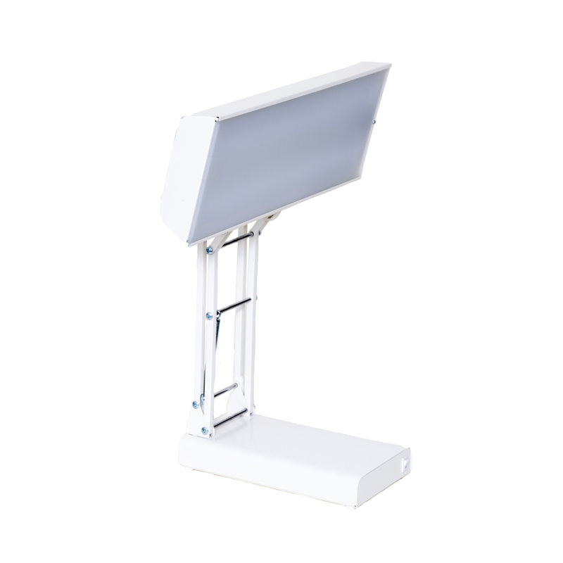 Lampe de bureau en métal Oseph