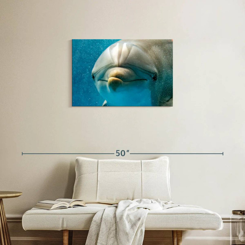Brampt Nosy Dolphin, 20" H x 30" W