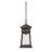 Signe Outdoor Hanging Lantern