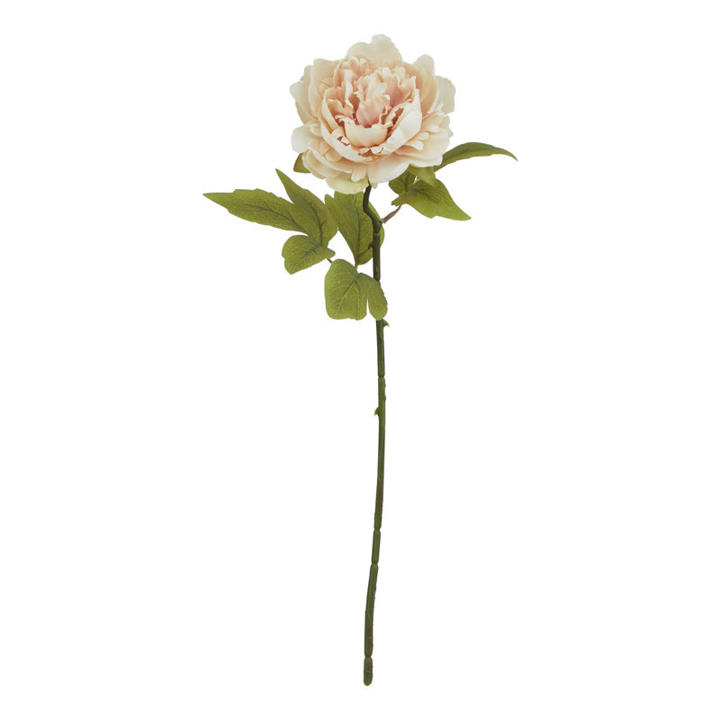 Anastasija Arrangement, 52 cm H x 7 cm W x 7 cm D, Pink
