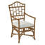 Chippendale Upholstered Arm Chair-1220169757-1252848227