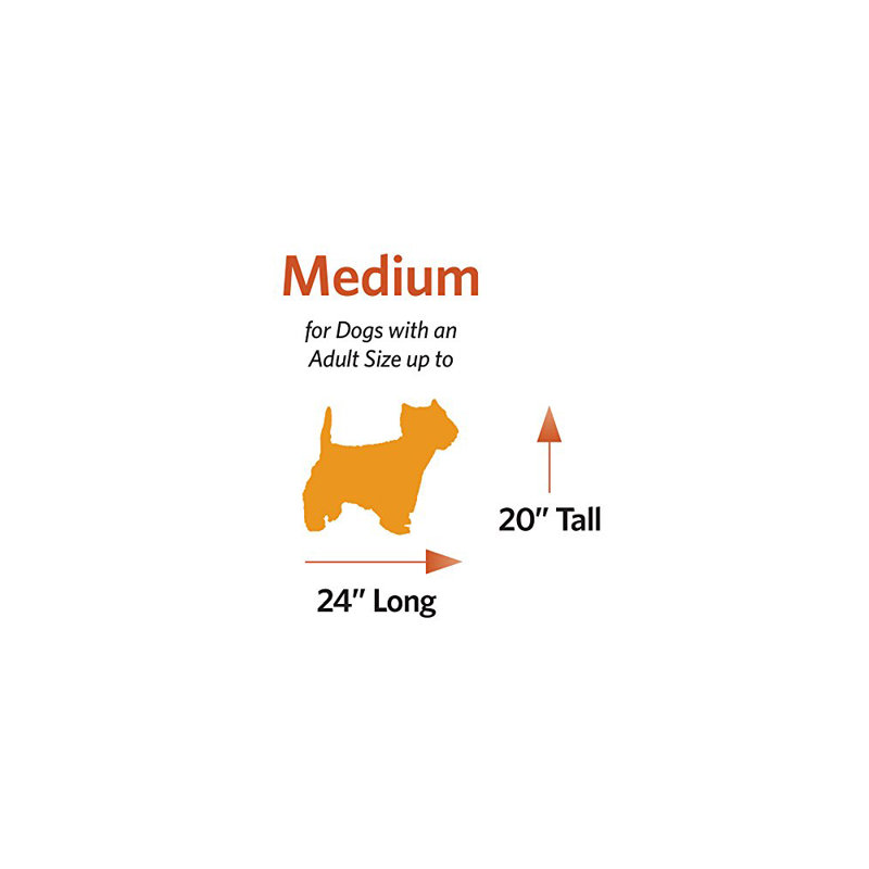 Lit pour animaux Midx, l 30 po x P 20,8 po x H 2,5 po