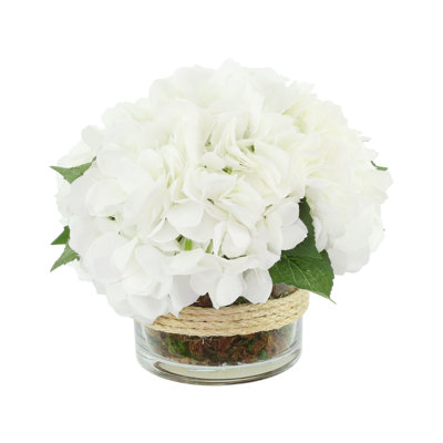 Cream Hydrangea in Rope Glass Vase