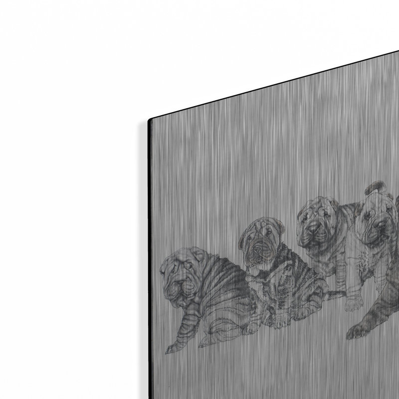 " Growing Up Shar Pei " Print, 16" H x 24" W