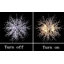 Alliee 8-Light Unique Crystal Chandelier with 8 Bulbs Included