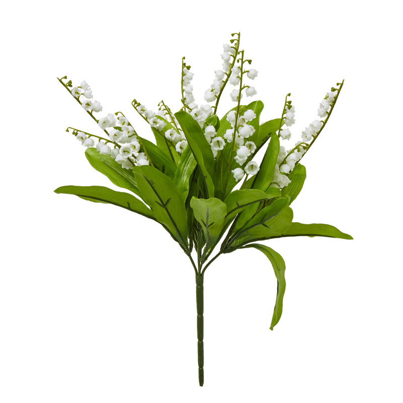 Anastasija Arrangement