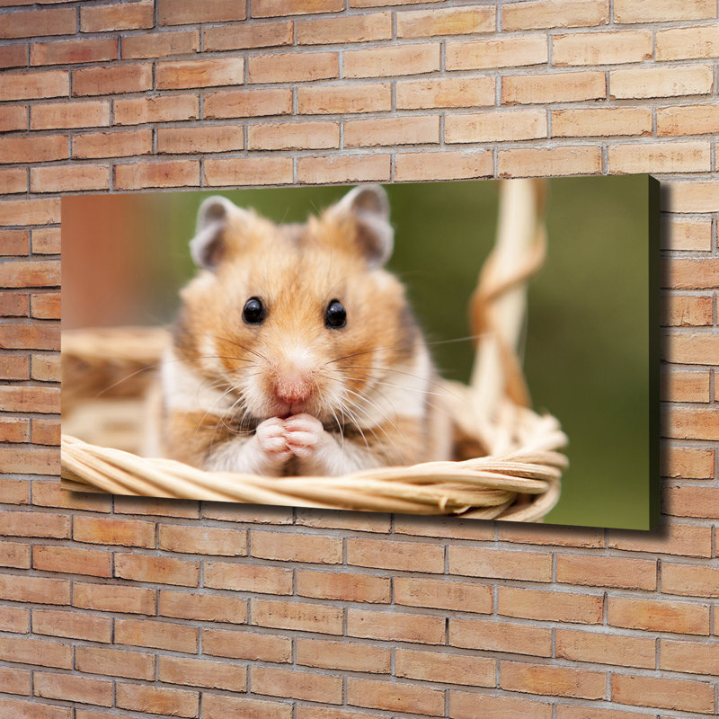 Hamster In The Basket - No Frame Print on Canvas