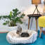 Kayson Polyester Pet Bed-860976506