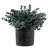 Faux Artificial Plants Blue Eucalyptus In Pot