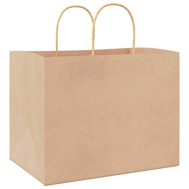 Sacs en papier avec poignées vidaXL, Brun, H 9,4 po x l 12,6 po x P 8,7 po
