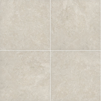 Dalle Westvale Shell 24 po x 24 po x 0,79 po, aspect pierre de porcelaine mate (4 pi²/unité, 2 pièces)