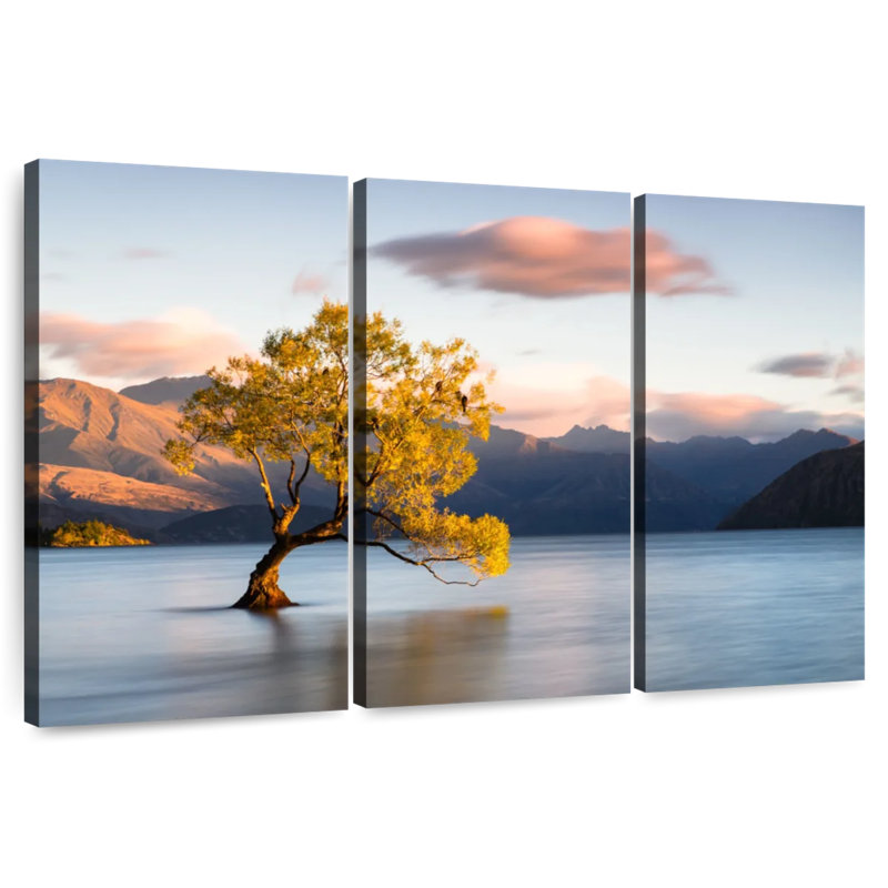 Alvord Lake Wanaka, Nouvelle-Zélande, H 20 po x l 33 po