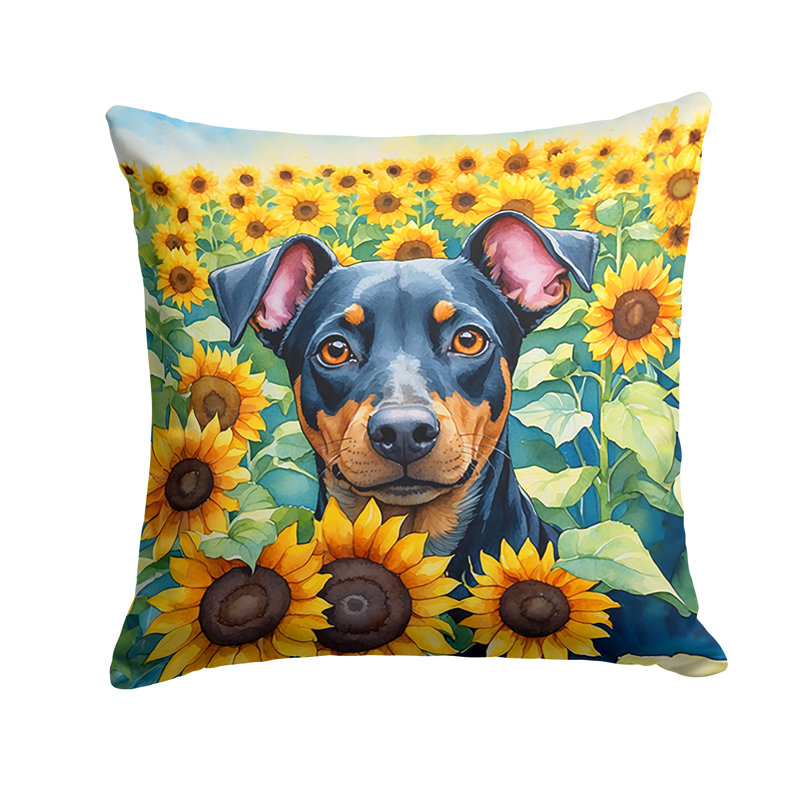 Other/No Pattern Outdoor Throw Pillow, 18" H x 18" W