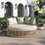 Anira 60'' Wicker Outdoor Daybed with Sunbrella Cushions