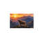 No Frame Print on Canvas
