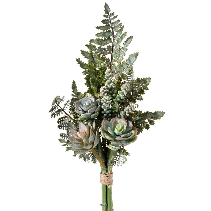 Arrangement floral succulent et fougère