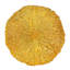 Assiette plate 11 po Warrensburg Coral-37468344