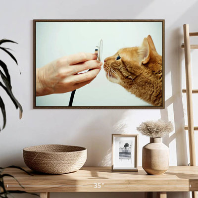 Cat Vet