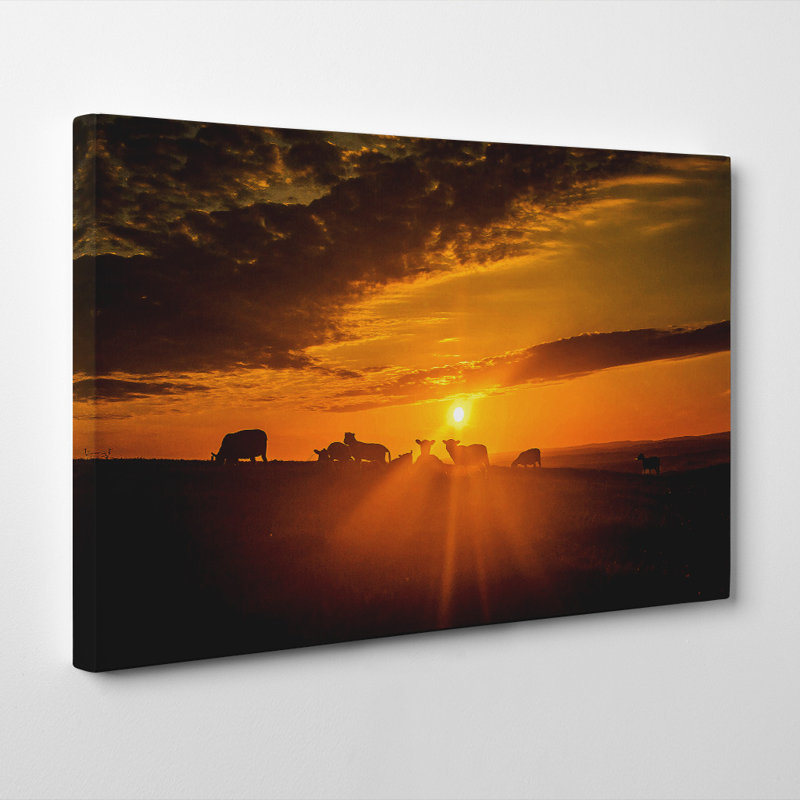 Wrapped Canvas Print, 50cm H x 76cm W