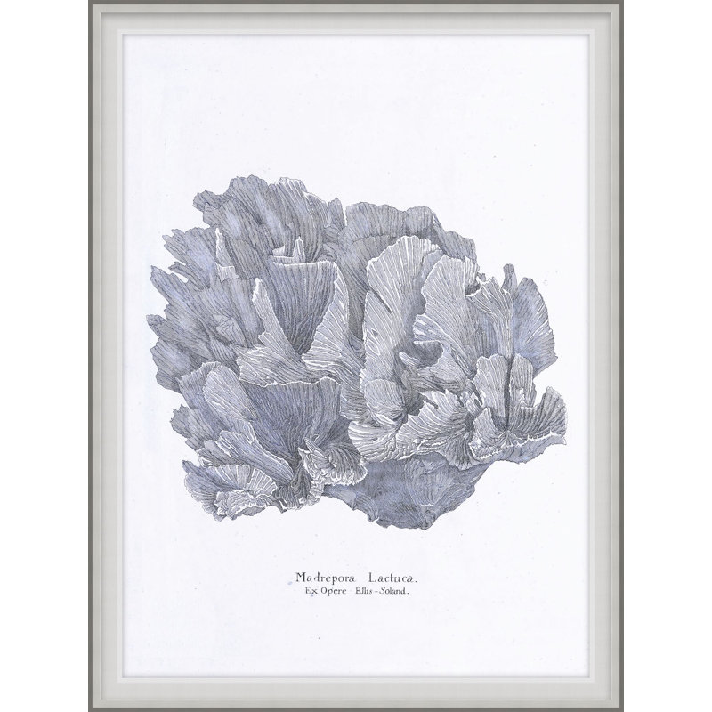 Cultivated Antiquity 1 Print, 28" H x 21" W x 2" D