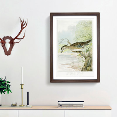 Female Wood Duck by J.L. Ridgway - Picture Frame Painting Print